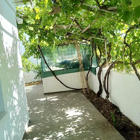House Near The Sea