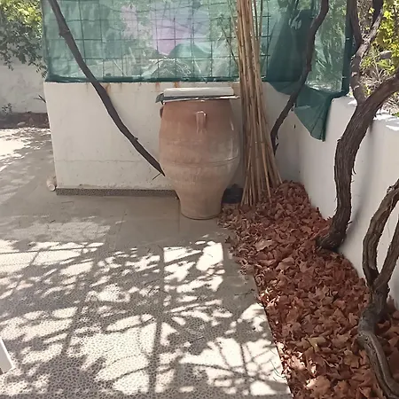 House Near The Sea *
